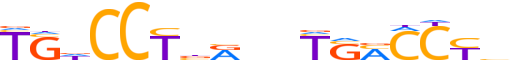 THA.H13CORE.0.P.B reverse-complement motif logo (THRA gene, THA_HUMAN protein)