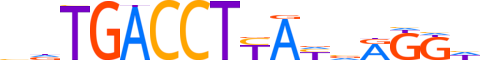 THA.H13CORE.2.S.B reverse-complement motif logo (THRA gene, THA_HUMAN protein)