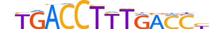 THB.H13CORE.2.SM.B reverse-complement motif logo (THRB gene, THB_HUMAN protein)