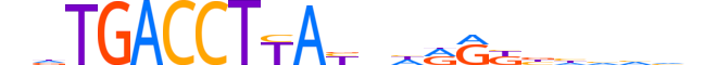 THB.H13CORE.3.S.C reverse-complement motif logo (THRB gene, THB_HUMAN protein)