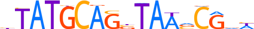 TIGD3.H13CORE.0.PSGIB.A motif logo (TIGD3 gene, TIGD3_HUMAN protein)