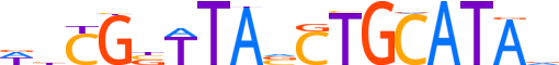 TIGD3.H13CORE.0.PSGIB.A reverse-complement motif logo (TIGD3 gene, TIGD3_HUMAN protein)