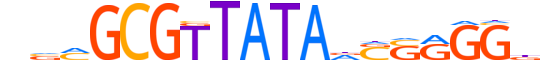 TIGD5.H13CORE.0.SGI.A reverse-complement motif logo (TIGD5 gene, TIGD5_HUMAN protein)