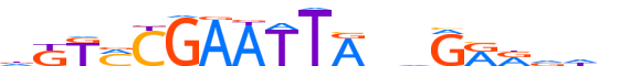 TIGD7.H13CORE.0.SGIB.A reverse-complement motif logo (TIGD7 gene, TIGD7_HUMAN protein)