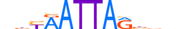 TLX2.H13CORE.0.SM.B motif logo (TLX2 gene, TLX2_HUMAN protein)