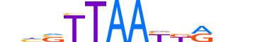 TLX3.H13CORE.0.SM.B motif logo (TLX3 gene, TLX3_HUMAN protein)