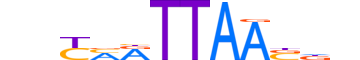 TLX3.H13CORE.0.SM.B reverse-complement motif logo (TLX3 gene, TLX3_HUMAN protein)