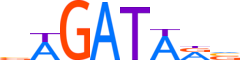 TRPS1.H13CORE.0.P.B motif logo (TRPS1 gene, TRPS1_HUMAN protein)