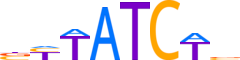 TRPS1.H13CORE.0.P.B reverse-complement motif logo (TRPS1 gene, TRPS1_HUMAN protein)