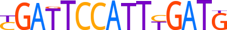 TSHZ2.H13CORE.0.SG.A reverse-complement motif logo (TSHZ2 gene, TSH2_HUMAN protein)