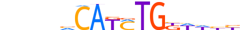 TWST1.H13CORE.1.P.B motif logo (TWIST1 gene, TWST1_HUMAN protein)