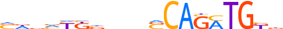 TWST2.H13CORE.0.P.B motif logo (TWIST2 gene, TWST2_HUMAN protein)