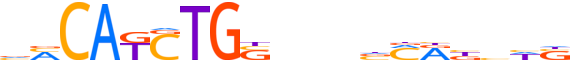 TWST2.H13CORE.0.P.B reverse-complement motif logo (TWIST2 gene, TWST2_HUMAN protein)