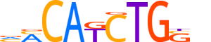 TWST2.H13CORE.1.P.B reverse-complement motif logo (TWIST2 gene, TWST2_HUMAN protein)