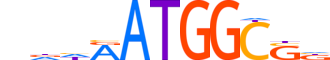 TYY1.H13CORE.1.S.B motif logo (YY1 gene, TYY1_HUMAN protein)