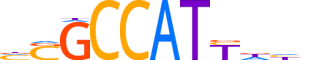 TYY1.H13CORE.1.S.B reverse-complement motif logo (YY1 gene, TYY1_HUMAN protein)