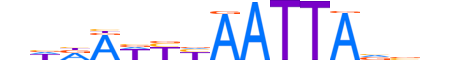 UNC4.H13CORE.0.S.B motif logo (UNCX gene, UNC4_HUMAN protein)