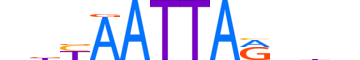 UNC4.H13CORE.1.S.B motif logo (UNCX gene, UNC4_HUMAN protein)