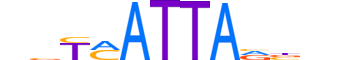 VAX1.H13CORE.0.SM.B motif logo (VAX1 gene, VAX1_HUMAN protein)