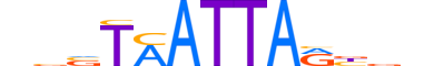 VAX2.H13CORE.0.SM.B motif logo (VAX2 gene, VAX2_HUMAN protein)