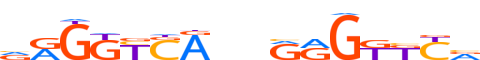 VDR.H13CORE.0.PS.A motif logo (VDR gene, VDR_HUMAN protein)