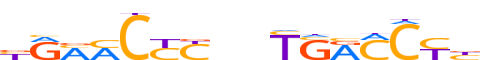 VDR.H13CORE.0.PS.A reverse-complement motif logo (VDR gene, VDR_HUMAN protein)