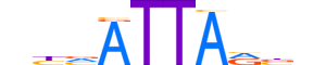 VENTX.H13CORE.0.SM.B motif logo (VENTX gene, VENTX_HUMAN protein)