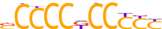 VEZF1.H13CORE.0.P.C reverse-complement motif logo (VEZF1 gene, VEZF1_HUMAN protein)