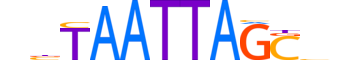 VSX1.H13CORE.0.SM.B motif logo (VSX1 gene, VSX1_HUMAN protein)