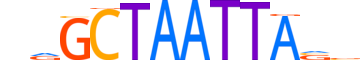 VSX2.H13CORE.0.PSM.A reverse-complement motif logo (VSX2 gene, VSX2_HUMAN protein)