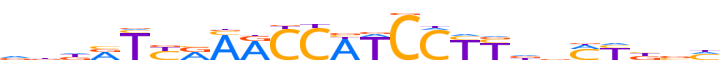 Z324A.H13CORE.0.P.B motif logo (ZNF324 gene, Z324A_HUMAN protein)