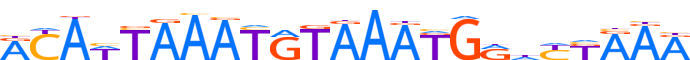 Z354A.H13CORE.0.P.B reverse-complement motif logo (ZNF354A gene, Z354A_HUMAN protein)