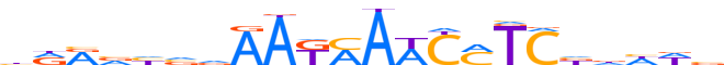 Z705G.H13CORE.0.P.C reverse-complement motif logo (ZNF705G gene, Z705G_HUMAN protein)