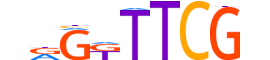 ZBED2.H13CORE.0.PSGIB.A motif logo (ZBED2 gene, ZBED2_HUMAN protein)