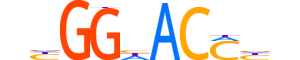 ZBED5.H13CORE.0.PSGIB.A motif logo (ZBED5 gene, ZBED5_HUMAN protein)