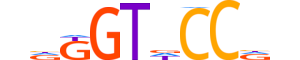 ZBED5.H13CORE.0.PSGIB.A reverse-complement motif logo (ZBED5 gene, ZBED5_HUMAN protein)