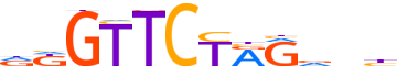 ZBT12.H13CORE.0.P.B reverse-complement motif logo (ZBTB12 gene, ZBT12_HUMAN protein)