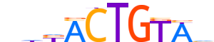 ZBT16.H13CORE.0.P.B motif logo (ZBTB16 gene, ZBT16_HUMAN protein)