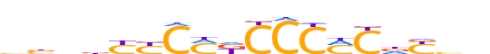 ZBT17.H13CORE.0.P.B reverse-complement motif logo (ZBTB17 gene, ZBT17_HUMAN protein)