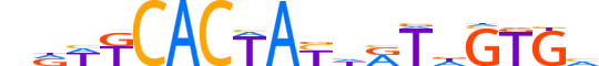 ZBT22.H13CORE.0.SM.B motif logo (ZBTB22 gene, ZBT22_HUMAN protein)