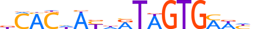 ZBT22.H13CORE.0.SM.B reverse-complement motif logo (ZBTB22 gene, ZBT22_HUMAN protein)