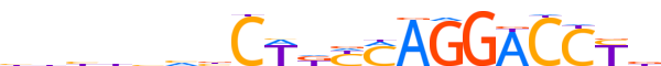 ZBT24.H13CORE.0.P.B motif logo (ZBTB24 gene, ZBT24_HUMAN protein)