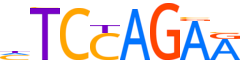 ZBT26.H13CORE.0.PSM.A reverse-complement motif logo (ZBTB26 gene, ZBT26_HUMAN protein)