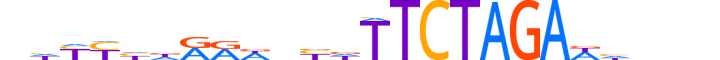 ZBT26.H13CORE.1.SM.B motif logo (ZBTB26 gene, ZBT26_HUMAN protein)