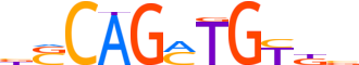 ZBT42.H13CORE.0.P.C motif logo (ZBTB42 gene, ZBT42_HUMAN protein)