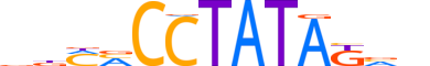 ZBT45.H13CORE.0.SM.B motif logo (ZBTB45 gene, ZBT45_HUMAN protein)