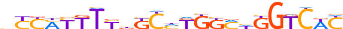 ZBT49.H13CORE.0.P.C reverse-complement motif logo (ZBTB49 gene, ZBT49_HUMAN protein)