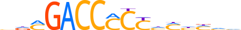 ZBT7A.H13CORE.1.SM.B reverse-complement motif logo (ZBTB7A gene, ZBT7A_HUMAN protein)