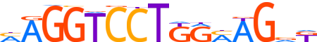 ZBTB24.H13CORE.0.SG.A reverse-complement motif logo (ZBTB24 gene, ZBT24_HUMAN protein)