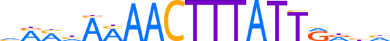 ZBTB40.H13CORE.0.PSG.A motif logo (ZBTB40 gene, ZBT40_HUMAN protein)